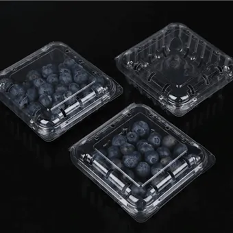 אריזת צדפה אוכמניות אריזת פירות טריים חתוכים אריזת פירות אריזת מיכל פירות צדפה אוכמניות